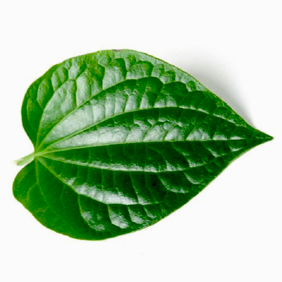 MADRAS BETEL LEAF