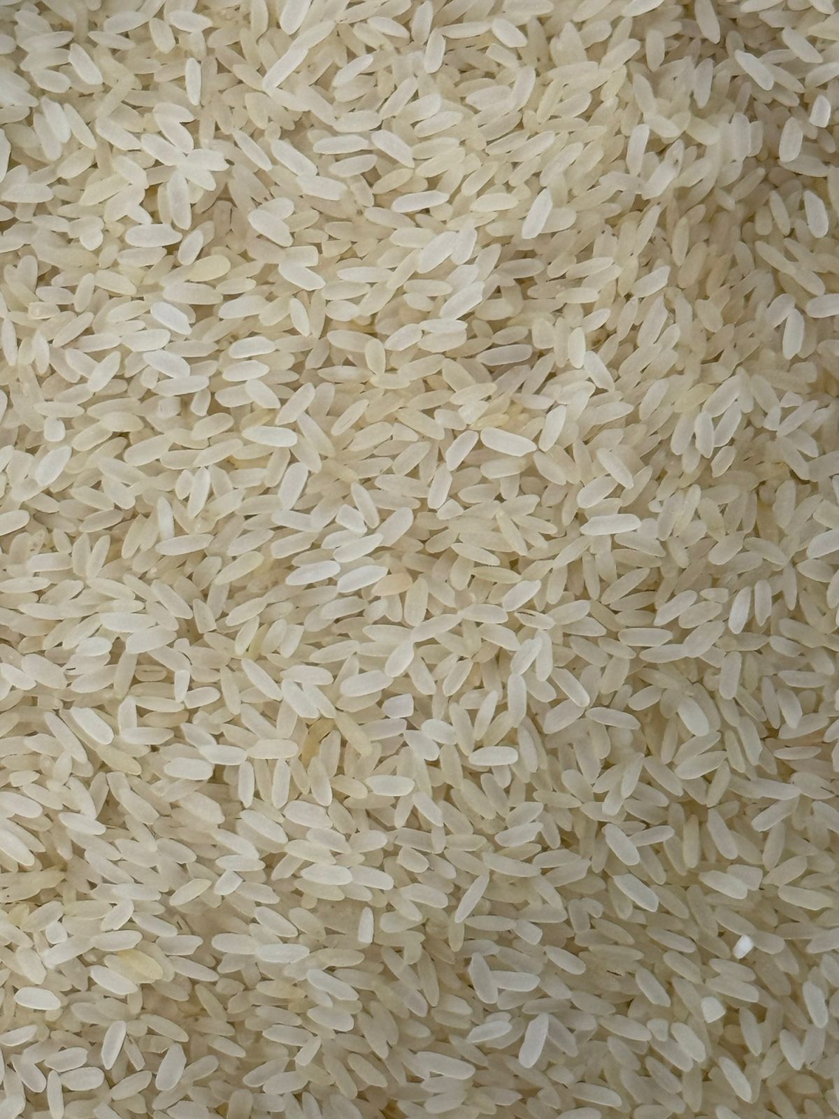 IR64 PARBOILED RICE